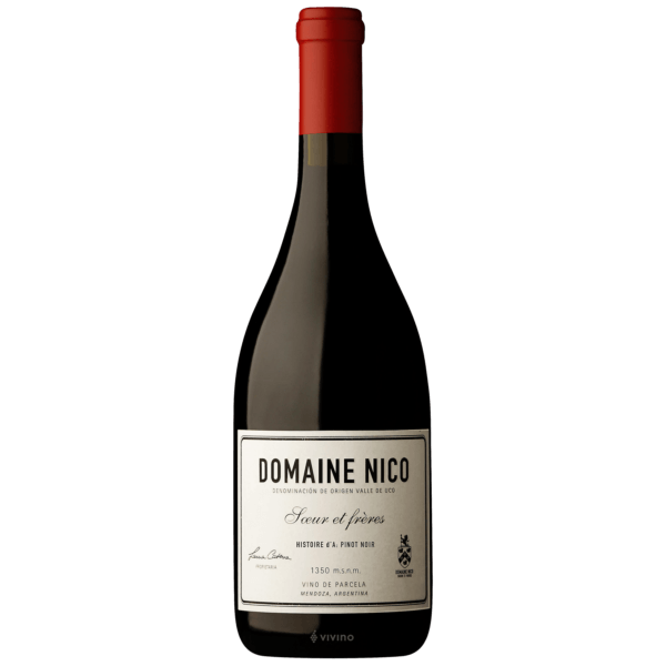 Domaine Nico Histoire d'A Pinot Noir 2019