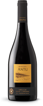 Montgras Antu Ninquen Syrah 2021