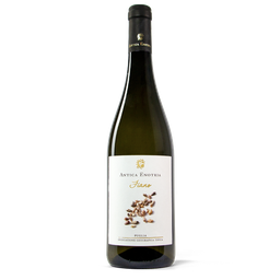 Antica Enotria Fiano 2022